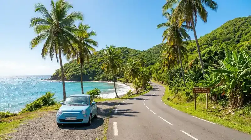 Coastal road to Grand Case Beach in Saint Martin with palm trees and turquoise ocean