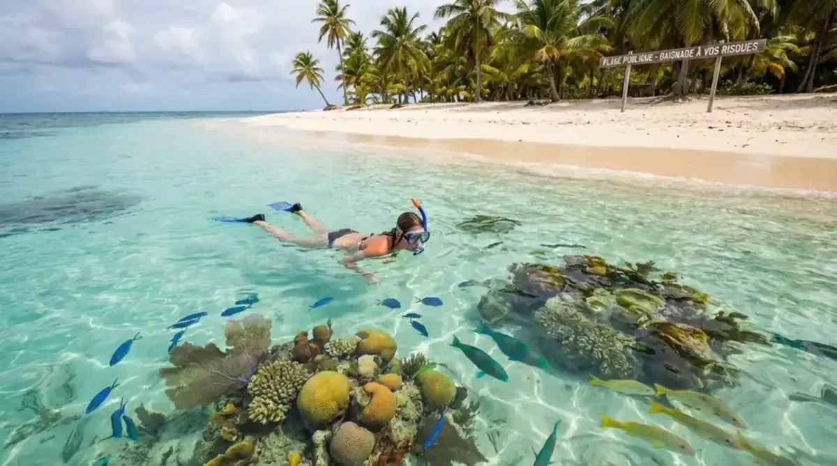 Person snorkeling from shore near a Caribbean beach with colorful coral and tropical fish