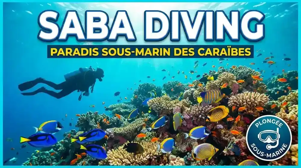 Aerial view of Saba island showing Mount Scenery volcano surrounded by deep blue Caribbean sea