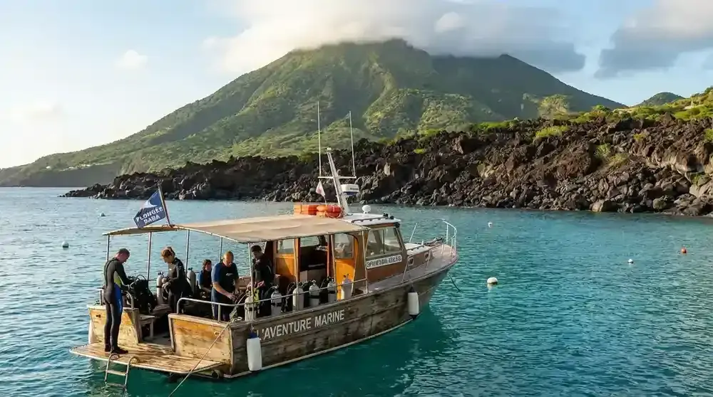 Caribbean reef shark swimming through blue water with coral reef visible below